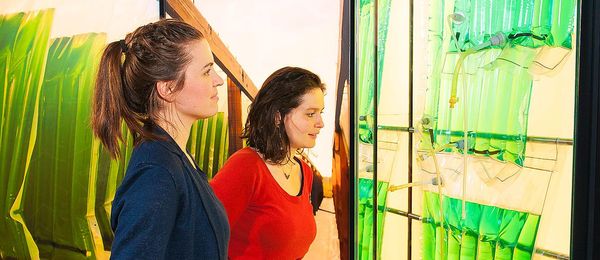 Zwei Besucherinnen schauen sich eine Vitrine mit Bioreaktoren an. Sie ähneln kleinen Luftmatratzen, sind durchsichtig und beinhalten eine grüne Flüssigkeit.