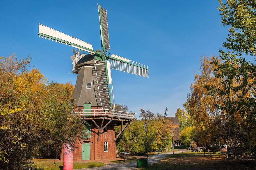 Holländermühle im Museumspark im Herbst. Die umliegenden Bäume sind leicht gelb und braun gefärbt. 