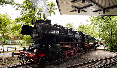 A black steam locomotive pulls onto a platform. There is greenery in the background. 