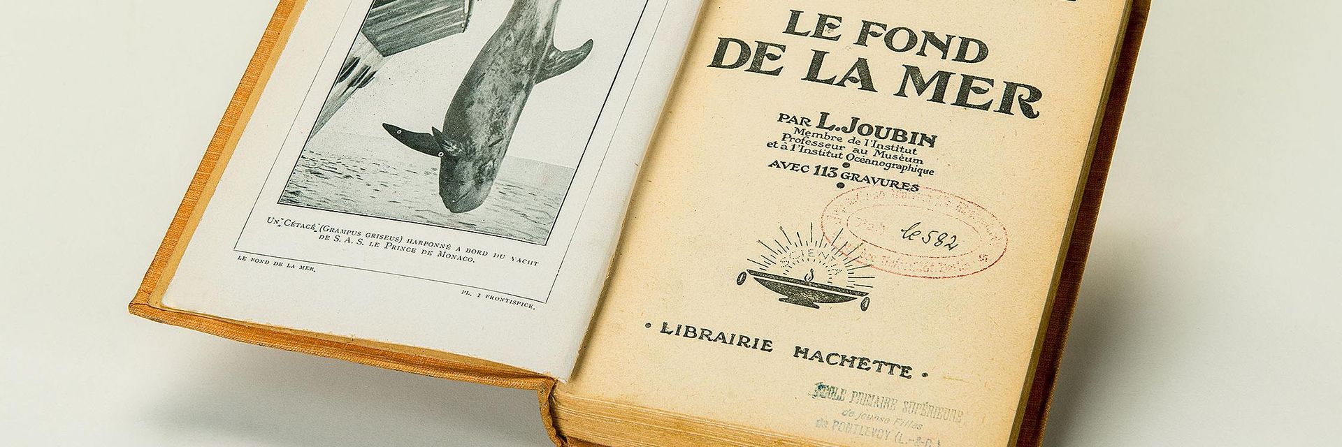 Two library stamp imprints are seen on the title page of an open book. They are centered under the heading "Le fond de la mer," which is French for "The Seabed".