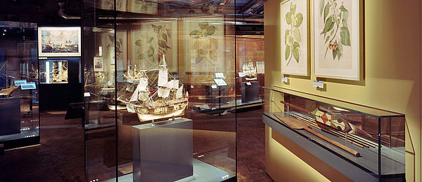 Blick in die Schifffahrt-Ausstellung: Verschiedene Wand- und Bodenvitrinen mit Schiffsmodellen und Objekten. An einer Wand hängen Pflanzen-Zeichnungen.