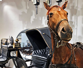 Ein präpariertes Pferd vor einer Kutsche, darüber hängt eine Deckeninstallation aus historischen Laternen. 