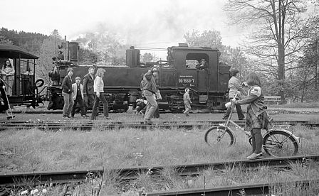 Erwachsene und Kinder laufen über bewachsene Gleise. Hinter ihnen steht eine Dampflok mit Waggons. Ein Mädchen steht neben ihrem Fahrrad und schaut zu der stehenden Dampflok, mit der die Passanten gerade angekommen sind.