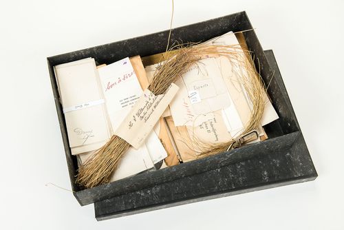 Eine geöffnete graue Kiste mit vielen Umschlägen und Materialproben von verschiedenen Graspapieren und getrockneten Gräsern.
