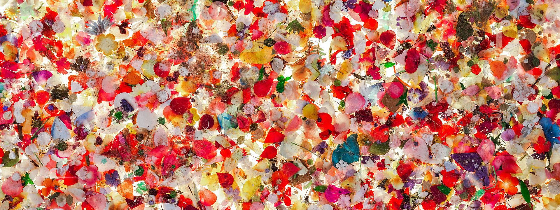 Ein buntes Blumenmeer aus vielen Seidenblumen und -blättern.