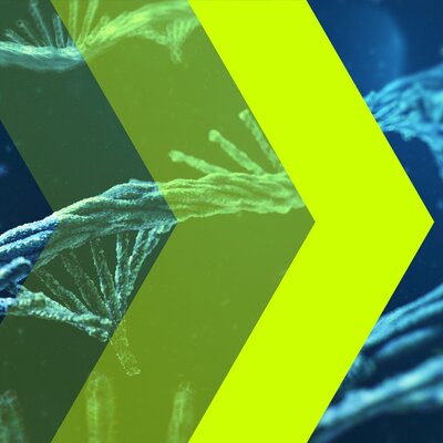 Drei gelbe Pfeile mit unterschiedlicher Transparenz vor blauen mRNA-Molekülen.
