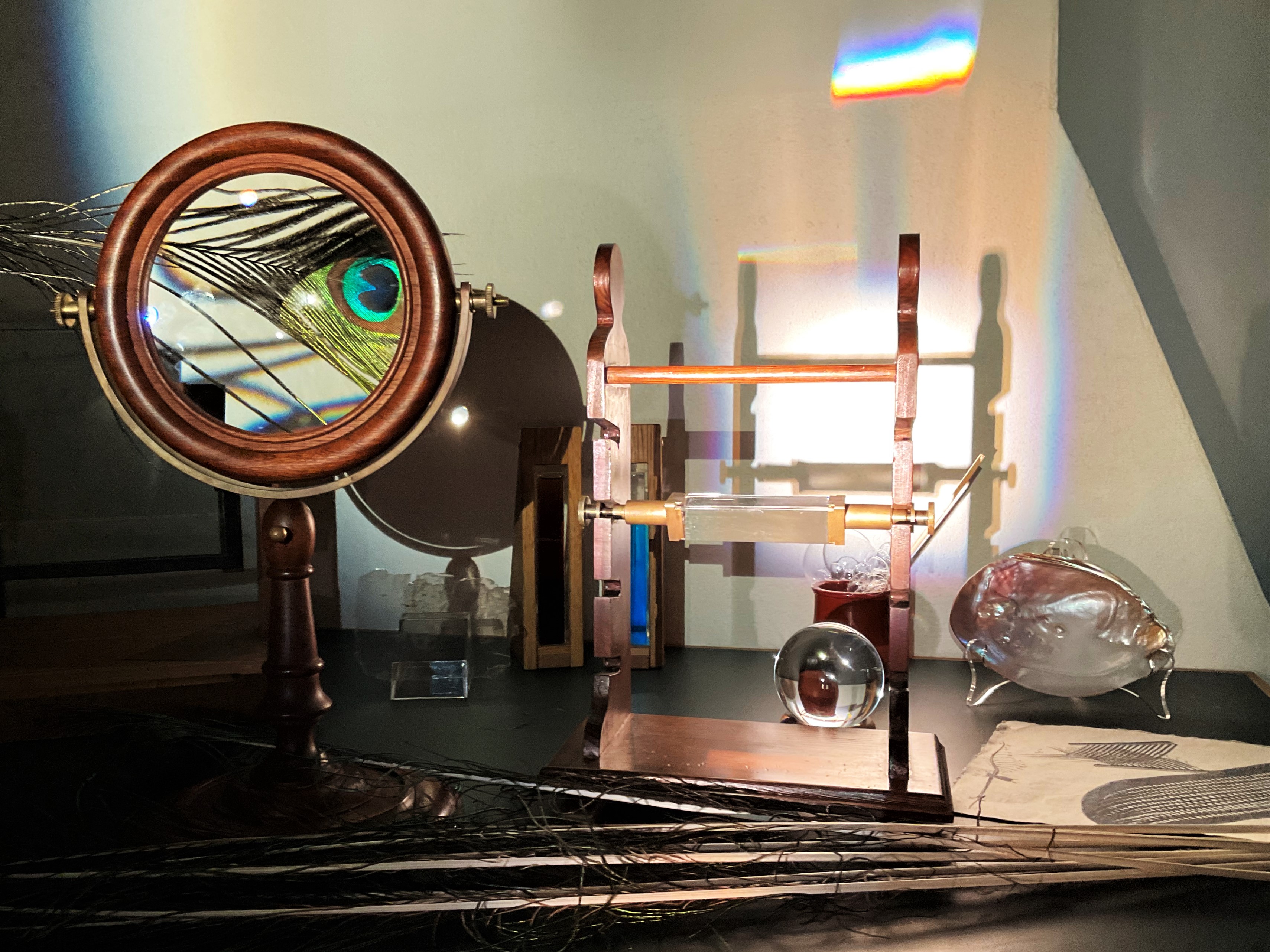 Museales Vergrößerungsglas mit einer Pfauenfeder in einem runden Holzrahmen, optischen Experimentiergeräten und Glasobjekten. Lichtbrechungen erzeugen farbenfrohe Regenbogenreflexe an der Wand.