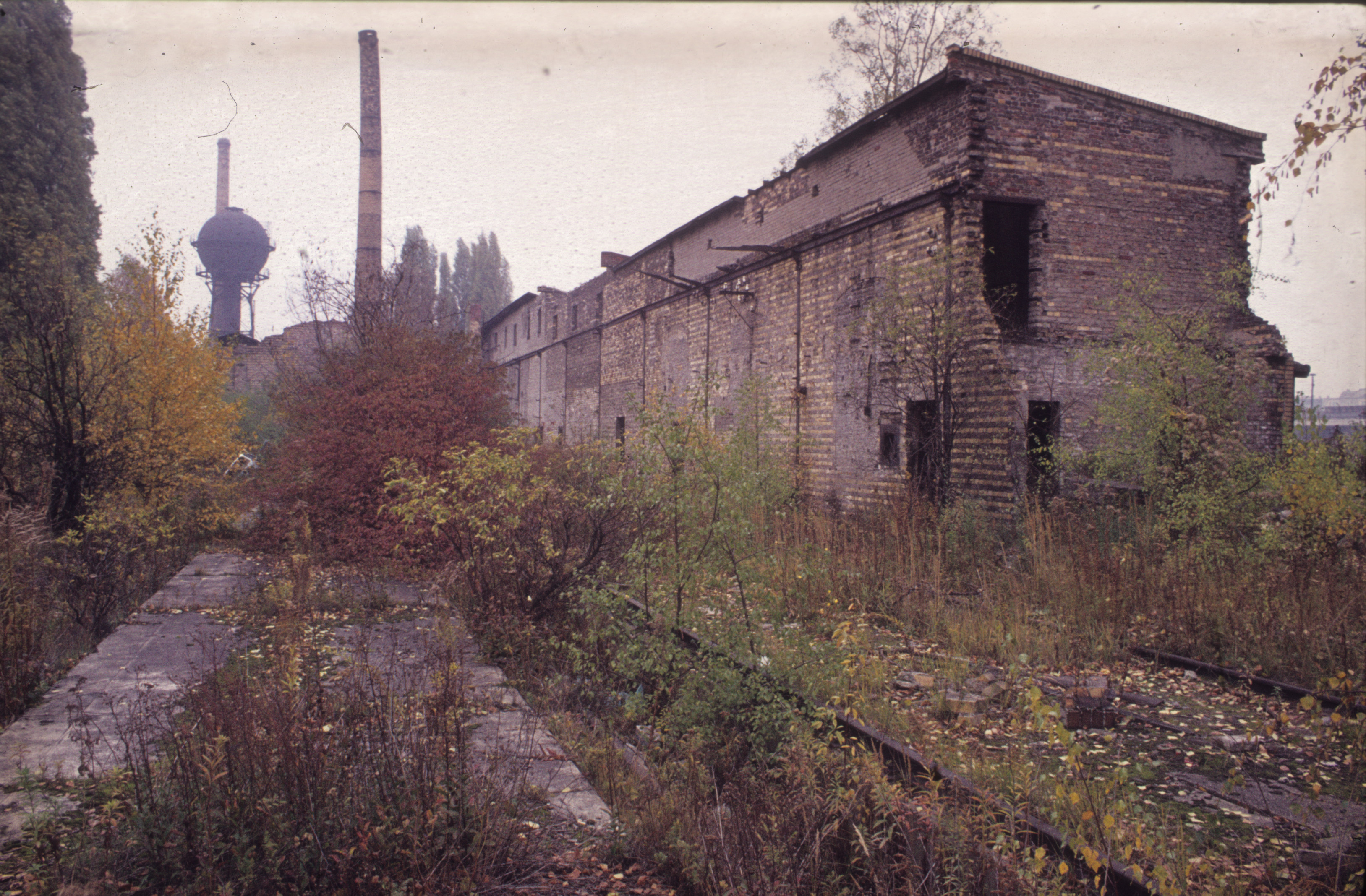 Farbfoto einer Backstein-Ruine in einem Park mit einem alten Wasserturm im Hintergrund