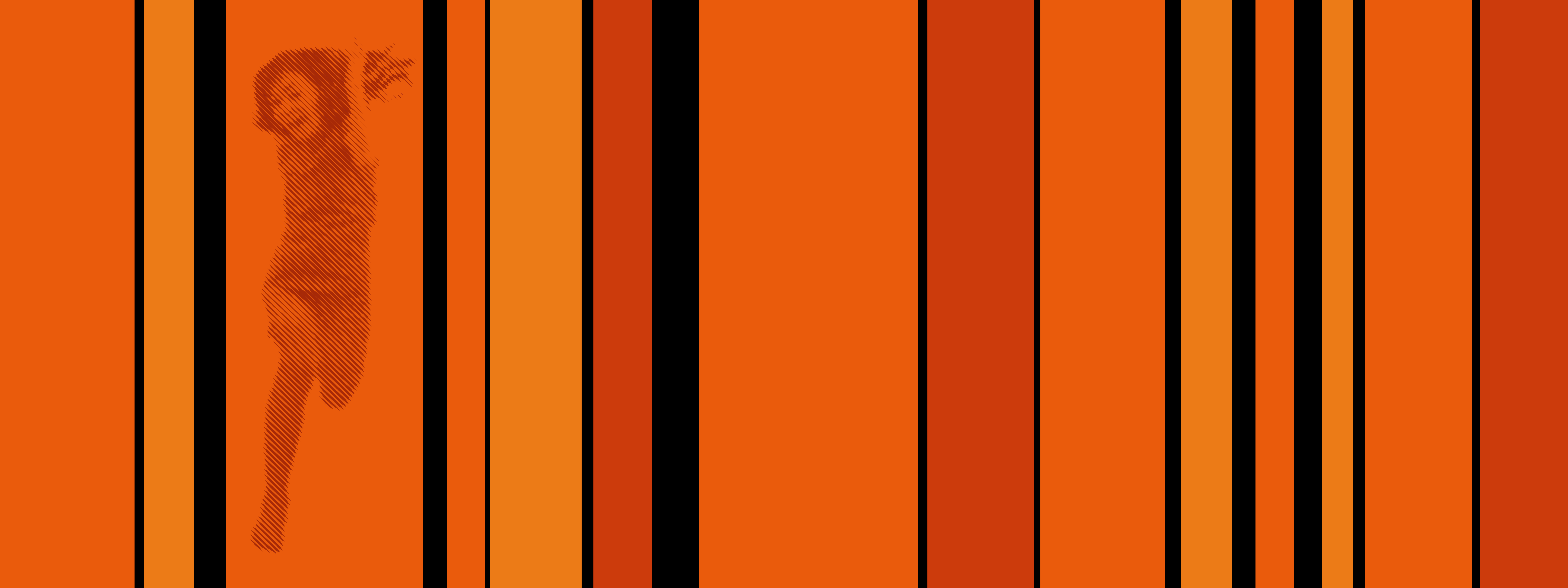 orangefarbene und schwarze vertikale Streifen, in einer Farbfläche ist ein springendes Mädchen zu sehen.